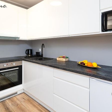 Wonder Home - Apartamenty W Sercu Karpacza, Blisko Deptaka I Terenow Zielonych מראה חיצוני תמונה